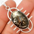 thumbnail image 1 of Natural Turtella Jasper - USA 925 Sterling Silver Pendant Jewelry P-1271 SDP148329, 1 of 5