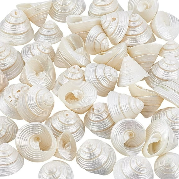 Natural Undrilled Spiral Seashells 100g(42pcs) Ocean Beach Sea Shells 0.7~1 inch Floral White NO Hole Shells for DIY