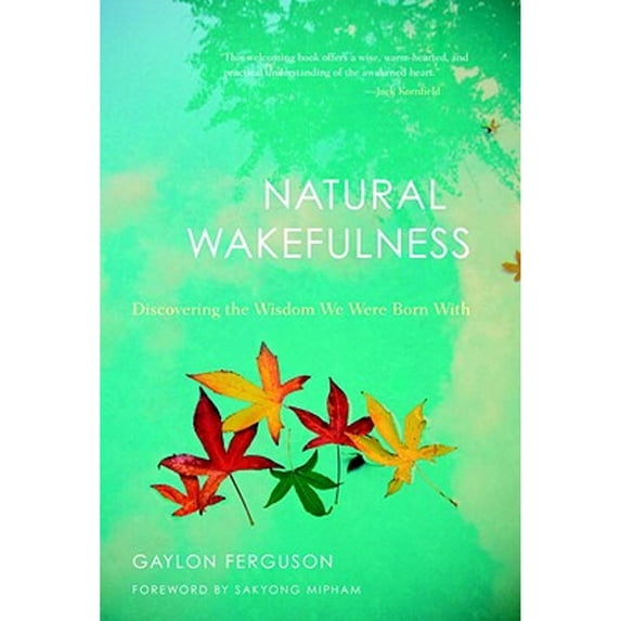 Pre-Owned Natural Wakefulness: Discovering the Wisdom We Were Born With (Hardcover) 1590306570 9781590306574