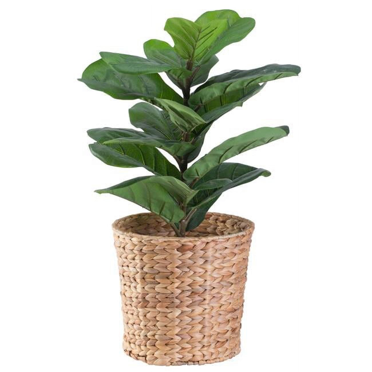 Eco-Friendly Natural Water Hyacinth 11" Handwoven Waste Basket