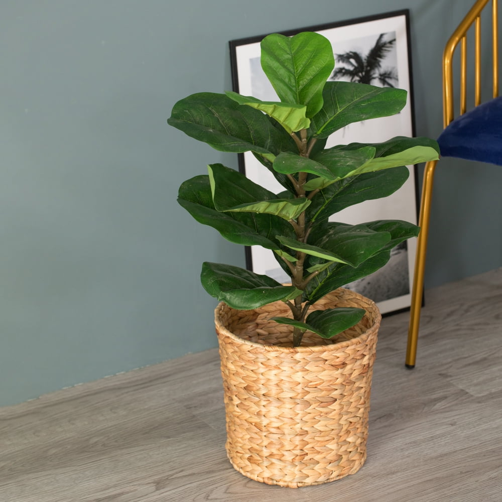 Eco-Friendly Natural Water Hyacinth 11" Handwoven Waste Basket