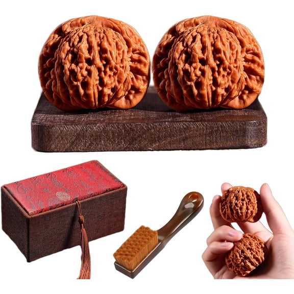 Natural Wenwan Walnuts Hand Massage Balls - Chinese Walnuts Fidget for Stress Relief & Anxiety, Traditional Jade Walnuts for Hand Finger Dexterity, Gift Box & Brush(Lion Head A, 41-42mm)