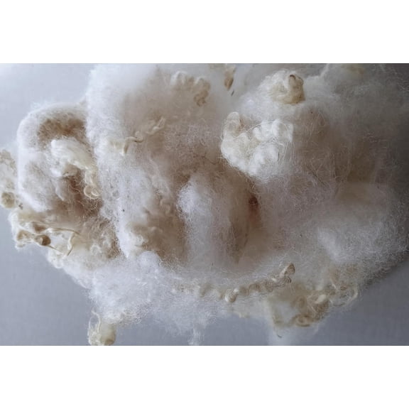 Natural White Hand Crafting Felting Fiber Fleece Wool Locks
