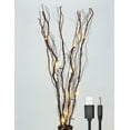 thumbnail image 1 of Natural Willow Twig Lighted Branch for Home Decoration, 36'', USB Plug-in and Battery Powered, 1 of 6