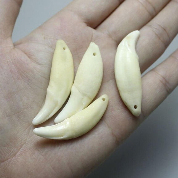 Natural Wolf Fang Pendant Wholesale Teeth 4/8PCS Retro Black Teeth Tribal Design US