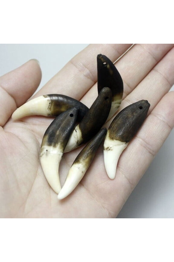 Natural Wolf Fang Pendant Wholesale Teeth 4/8PCS Retro Black Teeth Tribal Design