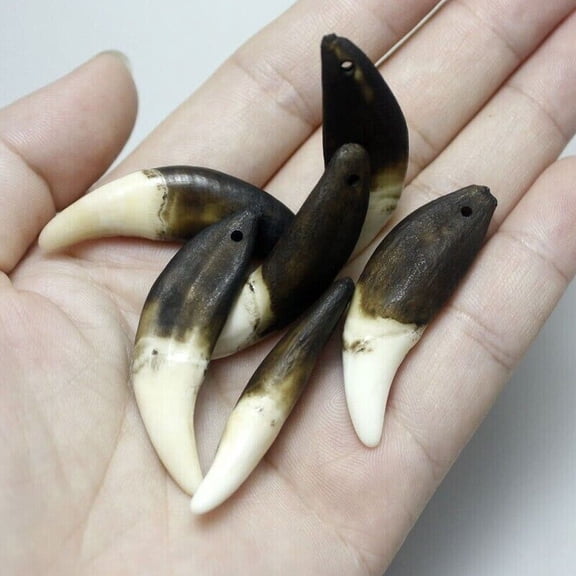 Natural Wolf Fang Pendant Wholesale Teeth 4/8PCS Retro Black Teeth Tribal Design