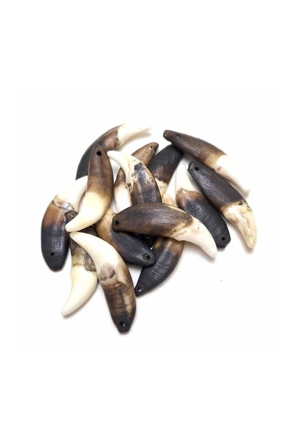 Natural Wolf Fang Pendant Wholesale Teeth 4/8PCS Retro Black Teeth Tribal Design