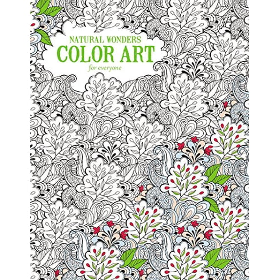 Pre-Owned Natural Wonders Color Art for Everyone Paperback - USED