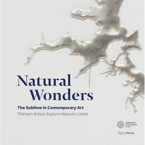 Natural Wonders : The Sublime in Contemporary Art: Thirteen Artists Explore Nature's Limits (Hardcover)