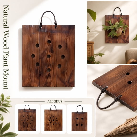 Natural Wood Staghorn Fern Mounting – Wall Hanging Orchid Planter Board for Indoor & Outdoor Vertical Garden Plant Display,with Durable Hanging Loop