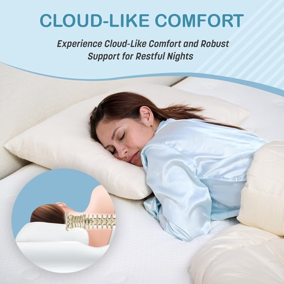 Natural Wool Filled Pillows (Neckroll 13X6 / Regular)