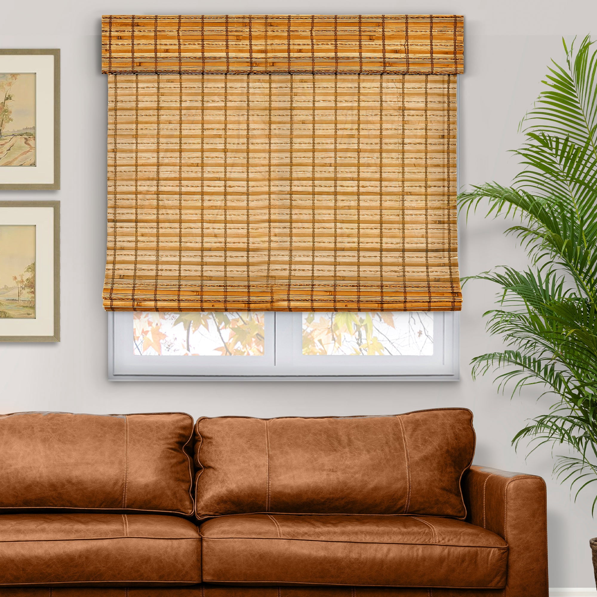 Natural Woven Light Filtering Cordless Bamboo Roman Shades for Windows, 59.5 in. W x 36 in. L, Honey Wheat