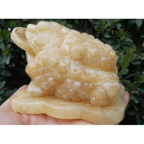 Natural Yellow jade Money Toad Figurine Feng Shui Fortune Coin Stone Crystal Healing Toad/ Frog /Chan Chu Sculpture Prosperity Gemstone