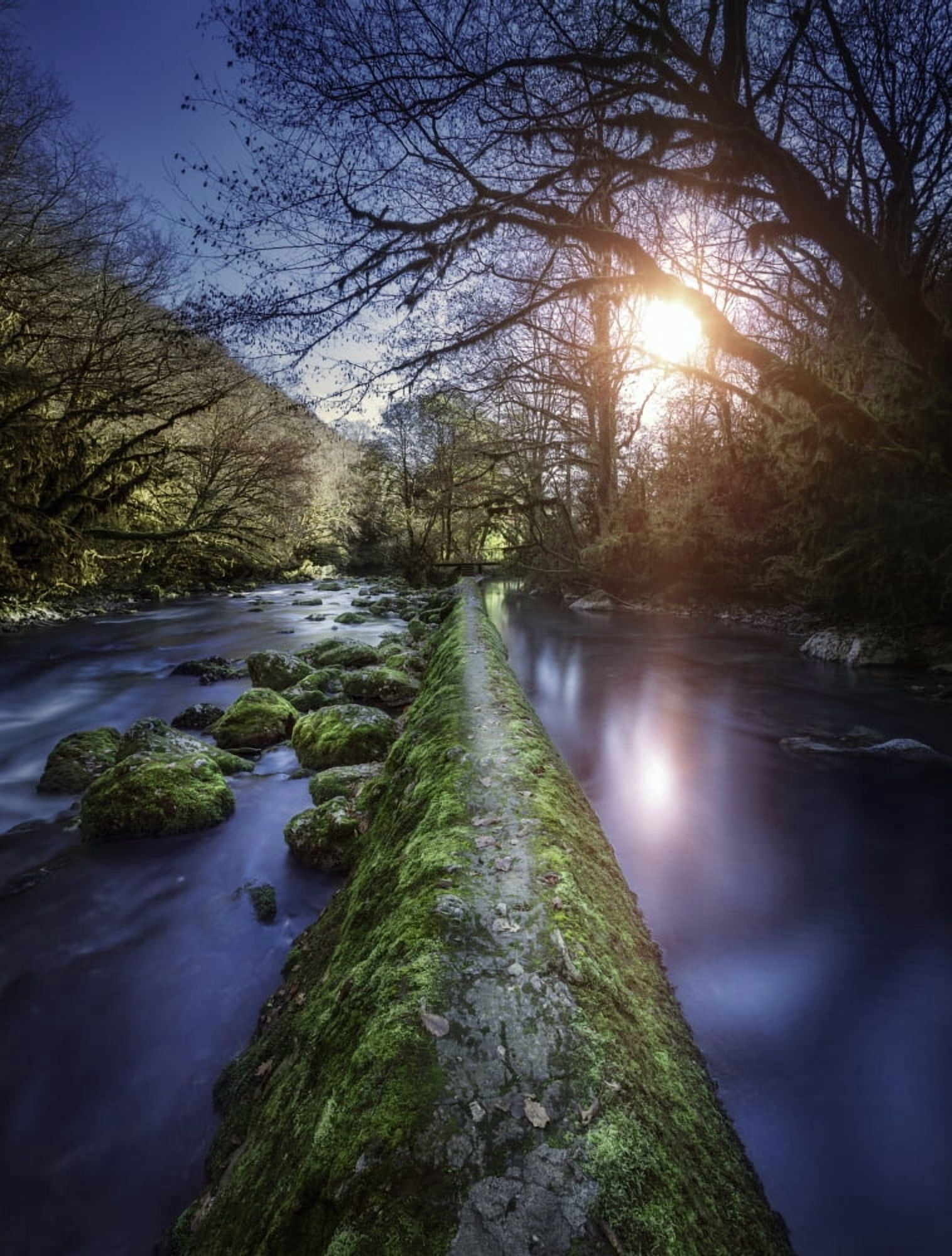 Natural path between two streams of river at sunset Ritsa Nature Reserve Canvas Art - Evgeny KuklevStocktrek Images (25 x 33)