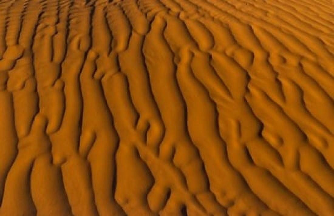 Natural sand patterns Sahara Douz Tunisi Africa Canvas Art - Bill Bachmann DanitaDelimont (17 x 11)