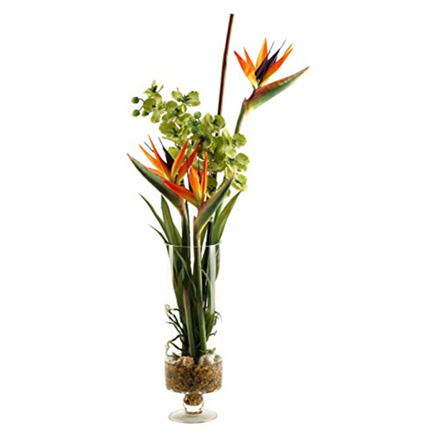 Natural touch bird of paradise with green vanda orchids in glass vase