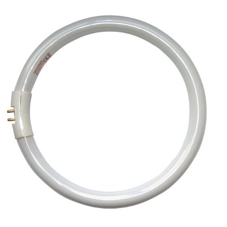 T10 Fluorescent Tube Kosnic 22w T5 Circular 2Gx13 4 Pin Cool White ...