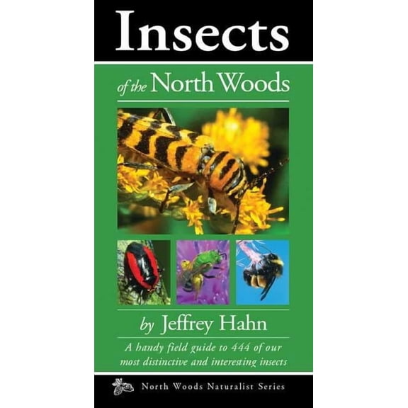 Naturalist Insects of the North Woods, (Paperback)