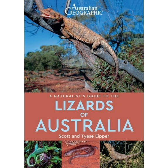 Naturalists' Guides: A Naturalist's Guide to the Lizards of Australia (Paperback)