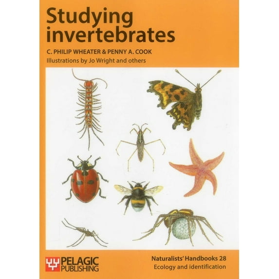 Naturalists' Handbooks Studying Invertebrates, Book 28, (Paperback)
