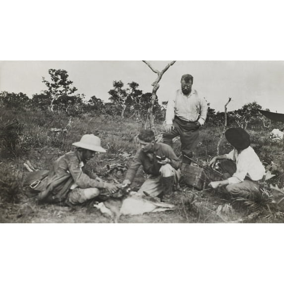 Naturalists Of The SmithsonianRoosevelt African Expedition History (36 x 24)