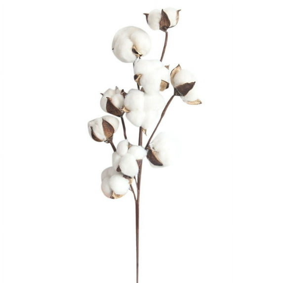 Naturally Dried Cotton Stems, Artificial Flower Filler For Floral Decor, 1 Branch With 10 Cotton Bolls, Suitable For Home Office Party Decor