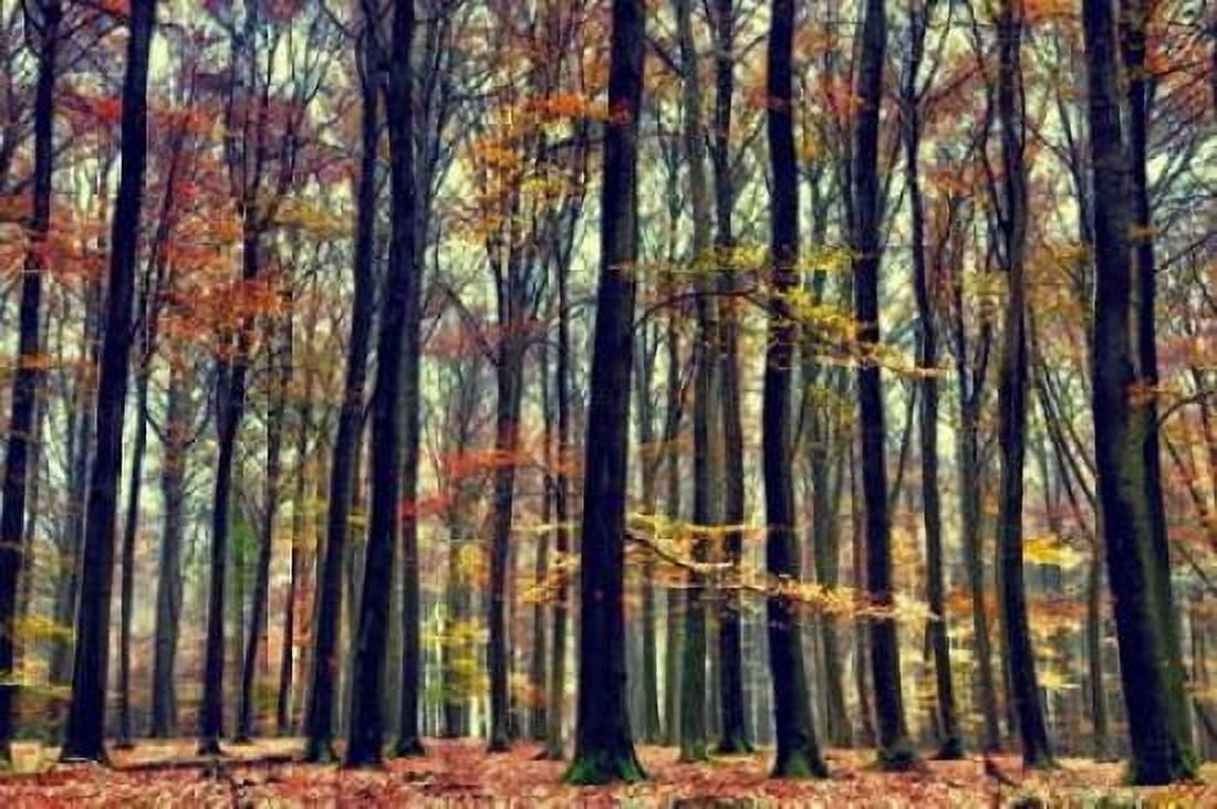 Nature‚Äôs Palette Canvas Art - Lars Van de Goor (24 x 36)