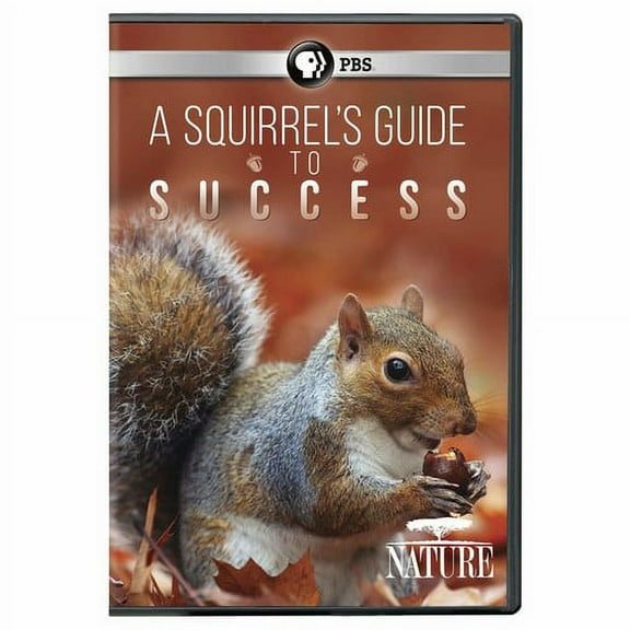 Nature: A Squirrel's Guide To Success (DVD), PBS (Direct), Documentary
