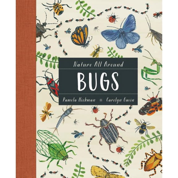 Nature All Around: Bugs (Hardcover)