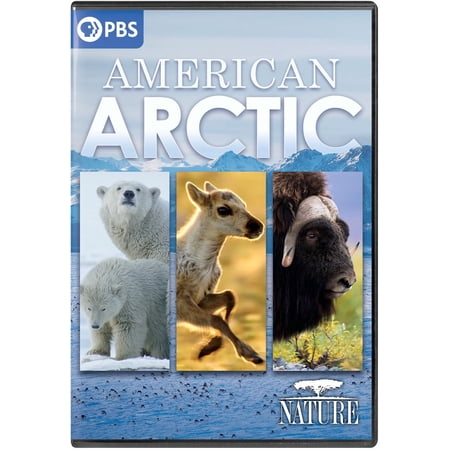 Nature: American Arctic