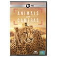 thumbnail image 1 of Nature: Animals With Cameras, 1 of 1