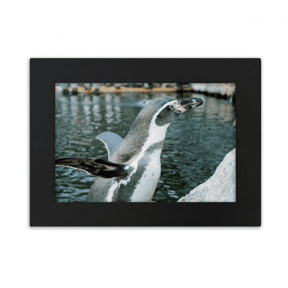 Nature Antarctic Penguin Science Picture Desktop Photo Frame Ornaments Picture Art Painting