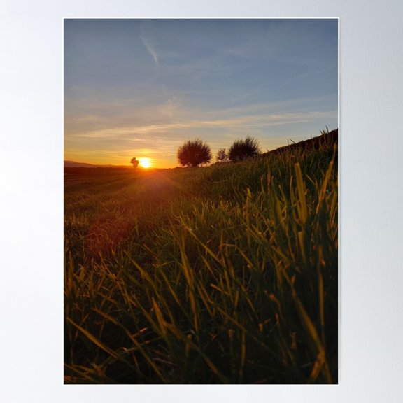 Nature At Sunset Poster Wall Art, Modern Wall Decor For Living Room Bedroom, 12x18 UNFRAMED