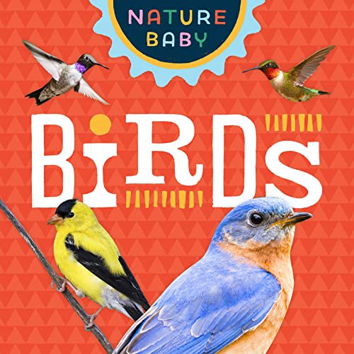 Pre-Owned Nature Baby: Birds (Board book) 1647552575 9781647552572