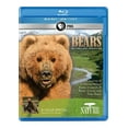 thumbnail image 1 of Nature: Bears of the Last Frontier (DVD), 1 of 2