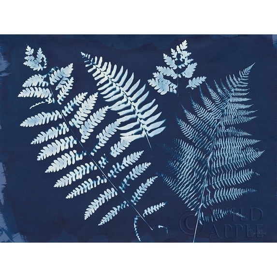 Nature By The Lake - Ferns II Poster Print by Piper Rhue (36 x 24)