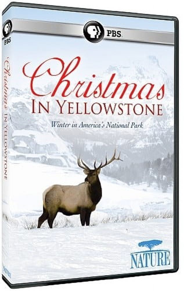 Nature: Christmas in Yellowstone (DVD), PBS (Direct), Holiday