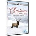 thumbnail image 1 of Nature: Christmas in Yellowstone (DVD), PBS (Direct), Holiday, 1 of 1