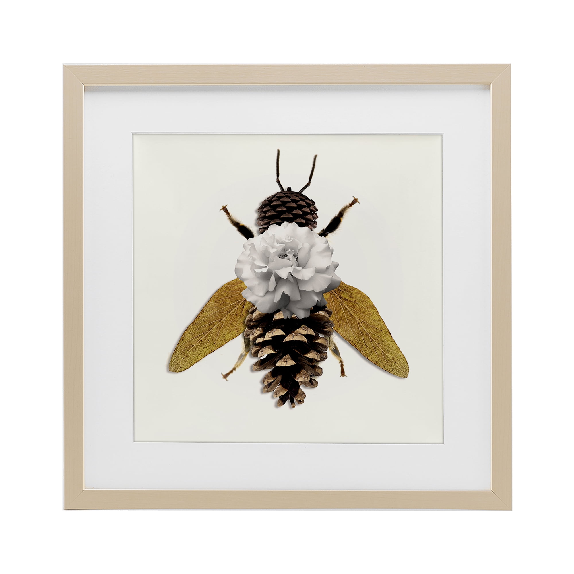 Nature Constructed Bee Birch Framed Print Under Glass, design by Sasha