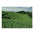 thumbnail image 1 of Nature Cutting Board, Landscape Tea Fields Surrounding with Forest Summer Time View Picture Rural Day, Decorative Tempered Glass Cutting and Serving Board, in 3 Sizes, by Ambesonne, 1 of 2