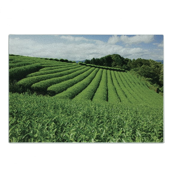 Nature Cutting Board, Landscape Tea Fields Surrounding with Forest Summer Time View Picture Rural Day, Decorative Tempered Glass Cutting and Serving Board, in 3 Sizes, by Ambesonne