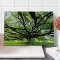 thumbnail image 1 of Nature Cutting Board, Largest Monkey Pod Tree in Thailand Eastern Green Big Branches Growth Eco Photo, Decorative Tempered Glass Cutting and Serving Board, Large Size, Green Brown, by Ambesonne, 1 of 1