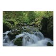 thumbnail image 1 of Nature Cutting Board, National Park with Cascade Flowing into the Woods Mother Earth Image, Decorative Tempered Glass Cutting and Serving Board, Small Size, Fern Green Dark Grey, by Ambesonne, 1 of 1
