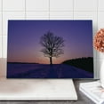 thumbnail image 1 of Nature Cutting Board, Oak Tree at Sunset Frozen Wintertime Snowy Field Evergreen Forest Evening Scenery, Decorative Tempered Glass Cutting and Serving Board, Large Size, Purple Peach, by Ambesonne, 1 of 1