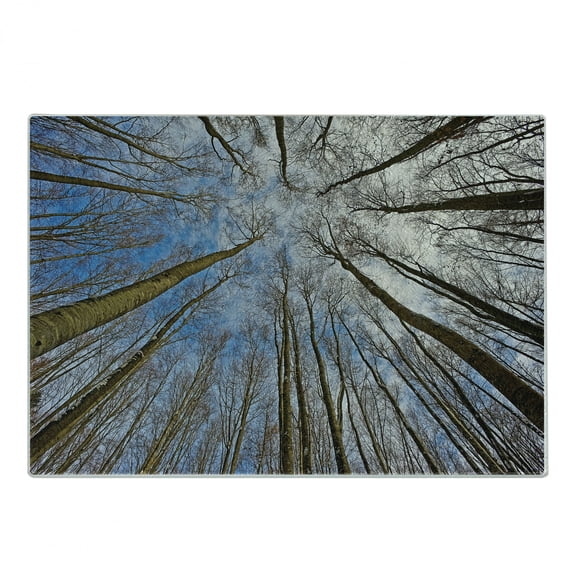 Nature Cutting Board, Skyward Image of Leafless Twiggy Tree Trunk Cloudy Morning Nature Outdoor Print, Decorative Tempered Glass Cutting and Serving Board, Small Size, Blue Brown, by Ambesonne