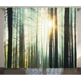 thumbnail image 1 of Ambesonne Nature Curtains 2 Panel Set, Foggy Forest Woods, 108" x 84", Seafoam Dark Brown, 1 of 3