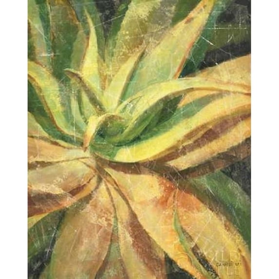 Nature Delight I Poster Print by Danhui Nai (24 x 30)