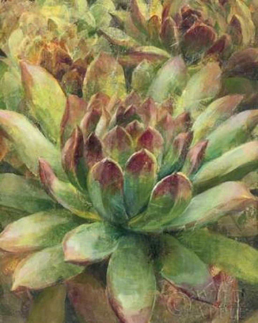 Nature Delight III Canvas Art - Danhui Nai (24 x 30)