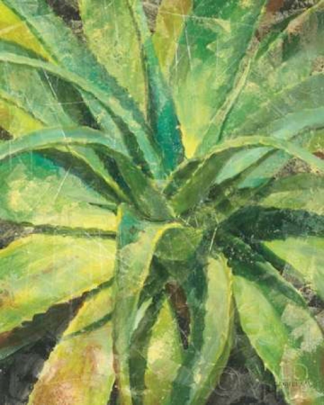 Nature Delight IV Canvas Art - Danhui Nai (24 x 30)